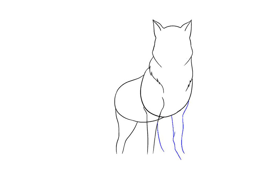 威严的狼怎么画-图9