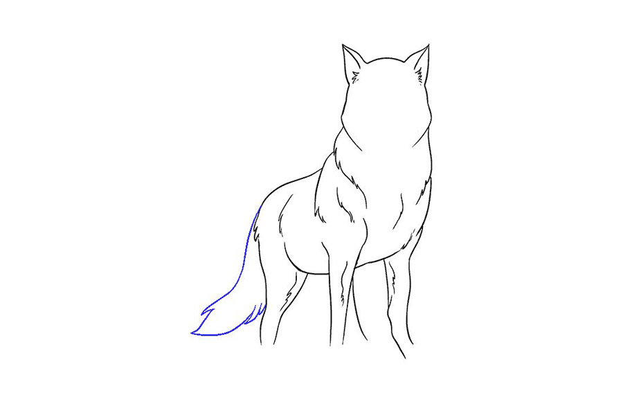 威严的狼怎么画-图12