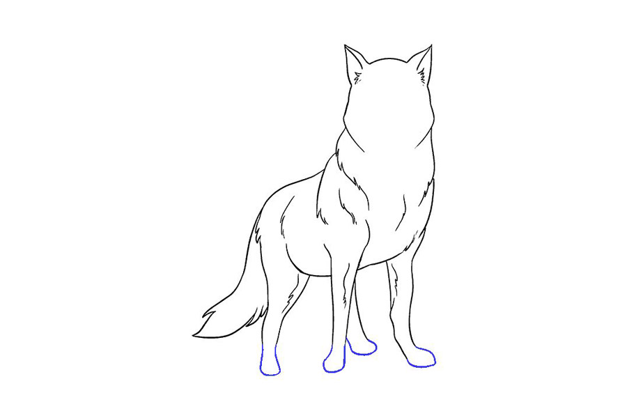 威严的狼怎么画-图13