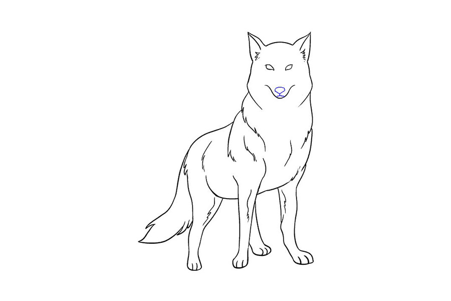 威严的狼怎么画-图17