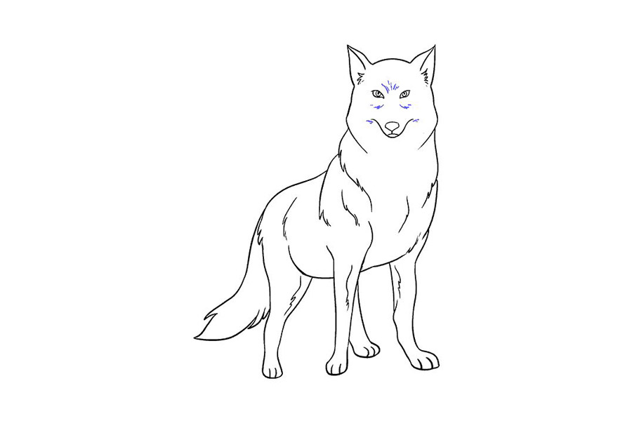 威严的狼怎么画-图19