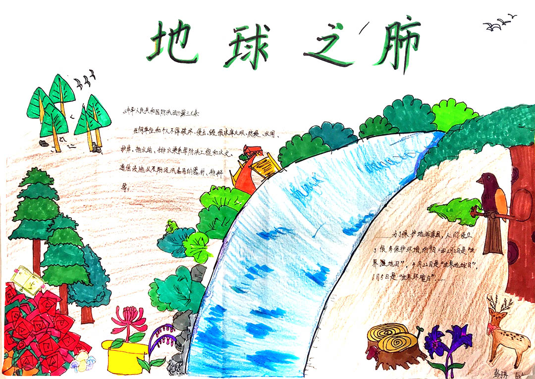 保护地球-地球一小时手抄报-图4