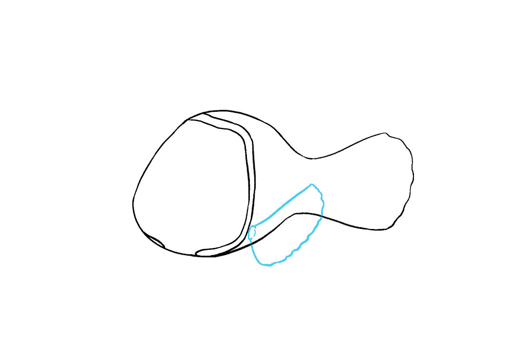 小丑鱼尼的画法（详细步骤）-图6