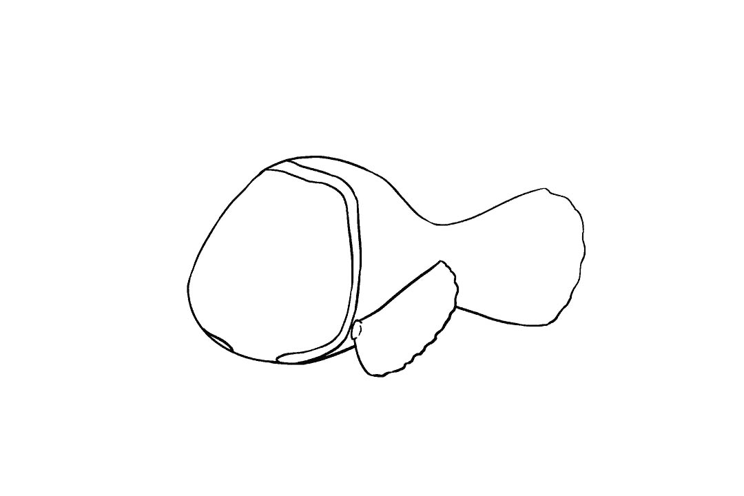 小丑鱼尼的画法（详细步骤）-图7