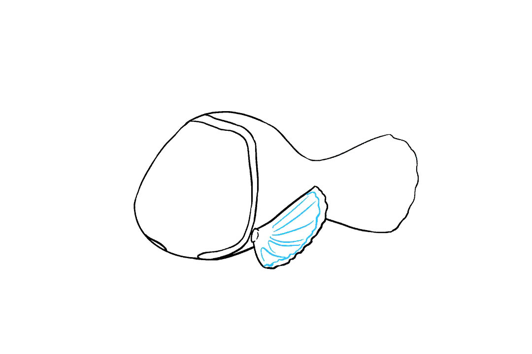 小丑鱼尼的画法（详细步骤）-图8