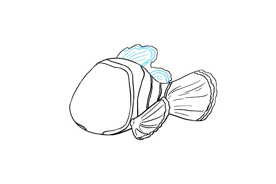 小丑鱼尼的画法（详细步骤）-图12