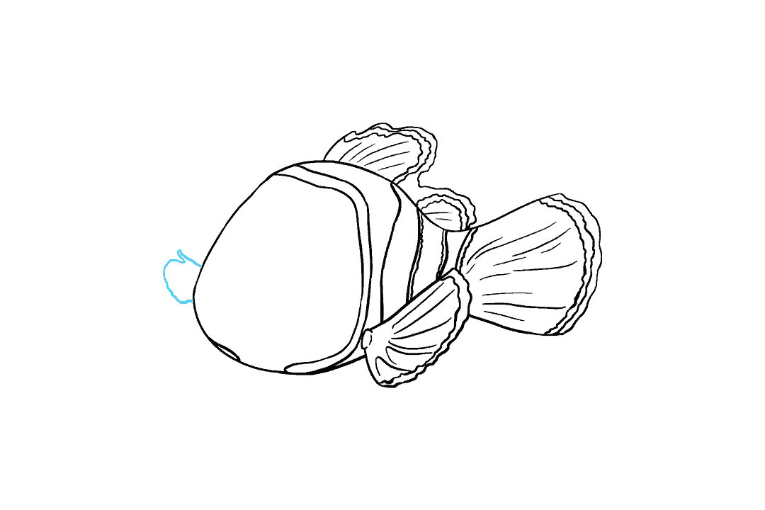 小丑鱼尼的画法（详细步骤）-图13