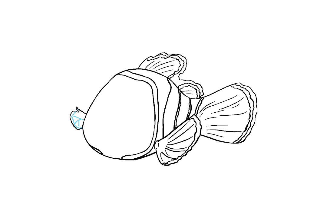 小丑鱼尼的画法（详细步骤）-图14