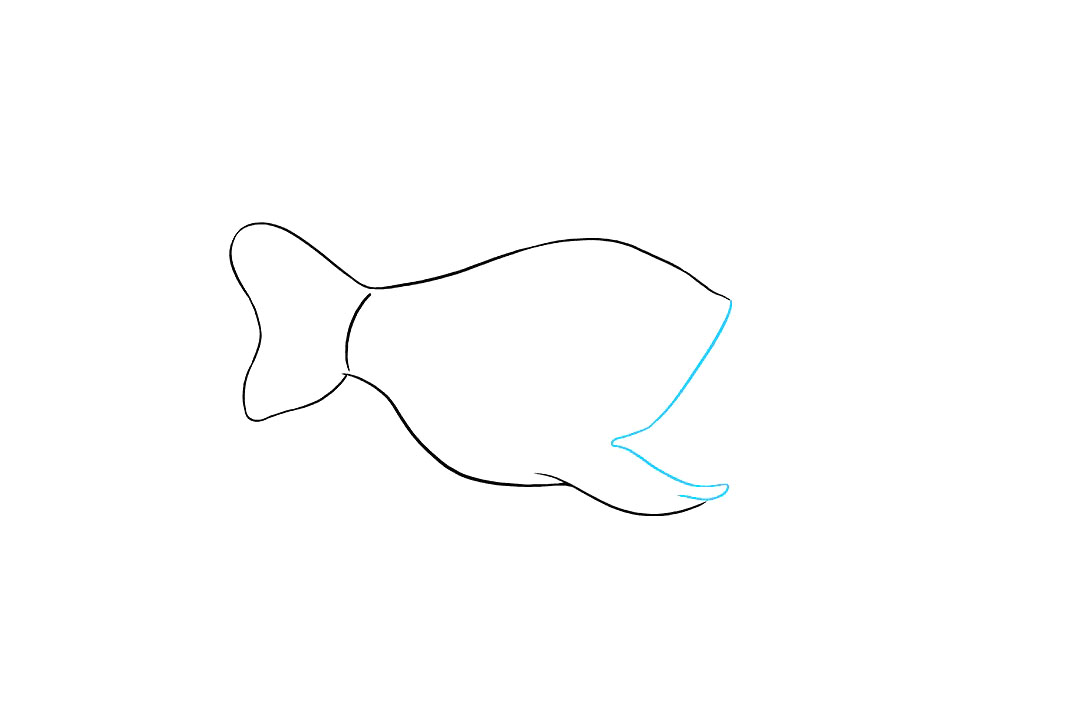 灯笼鱼怎么画-图4