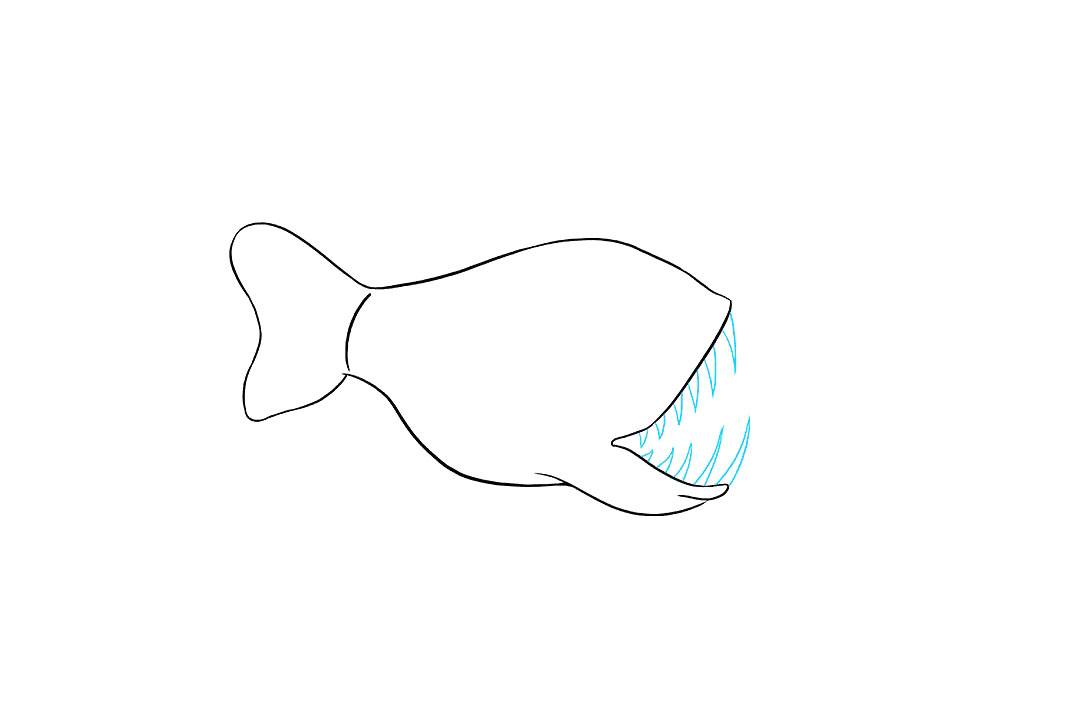 灯笼鱼怎么画-图5