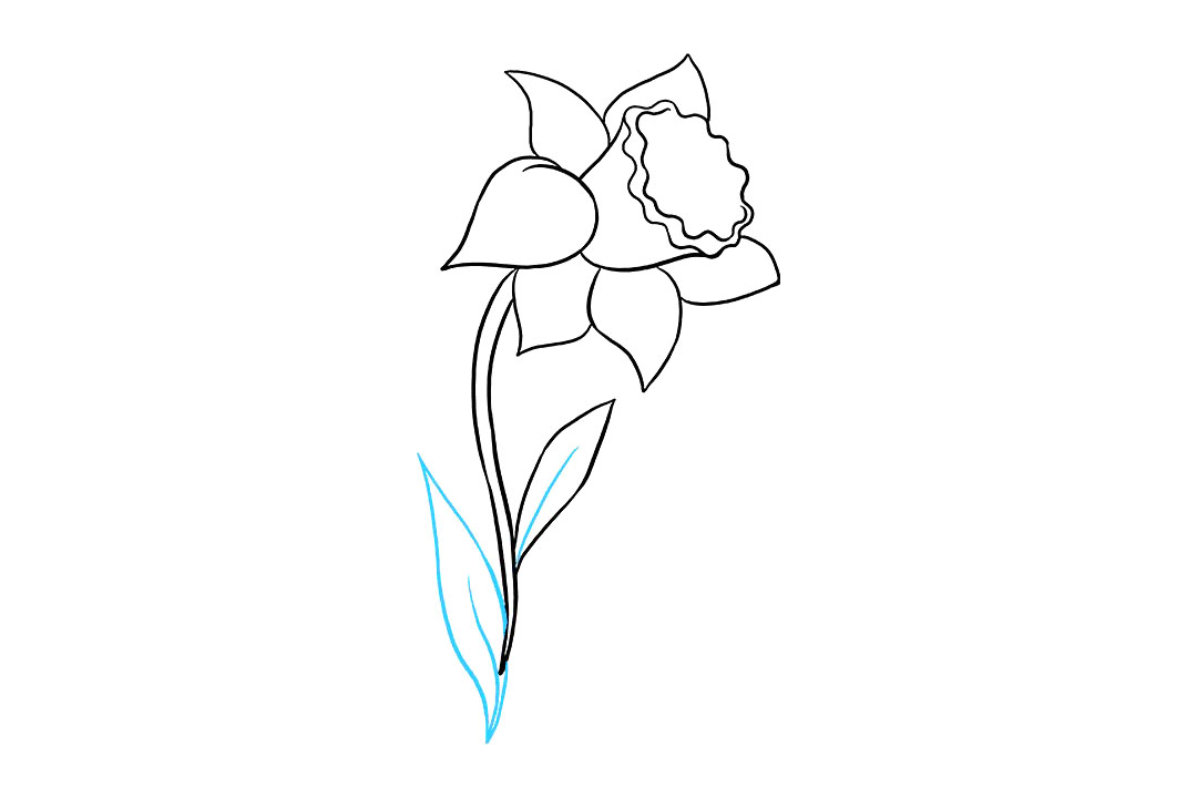 水仙花怎么画-图8