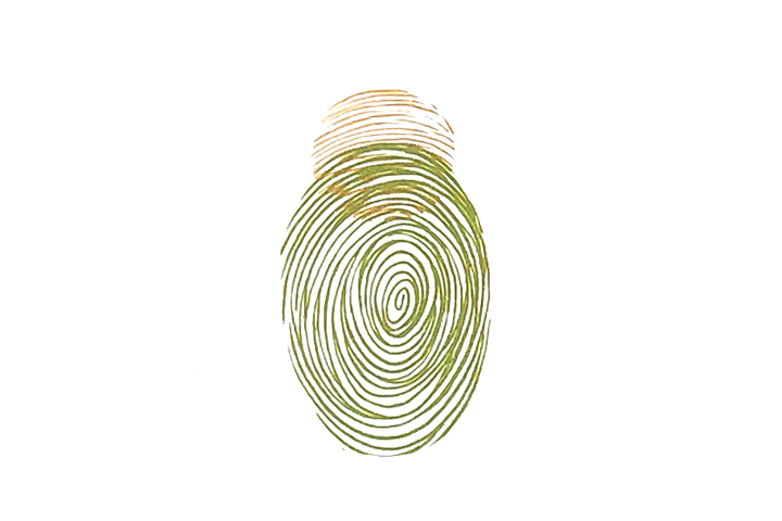 步骤2：用指肚印一个椭圆形指印作身体。