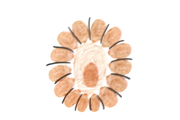 步骤3：再画出很多的线条。