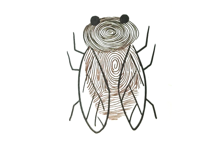 指印画知了怎么画