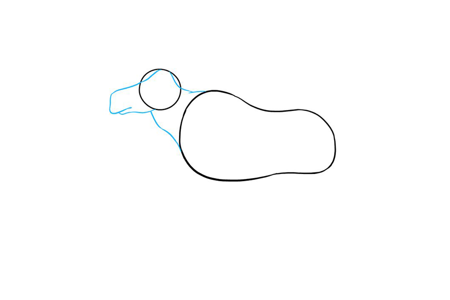 如何画驼鹿-图2