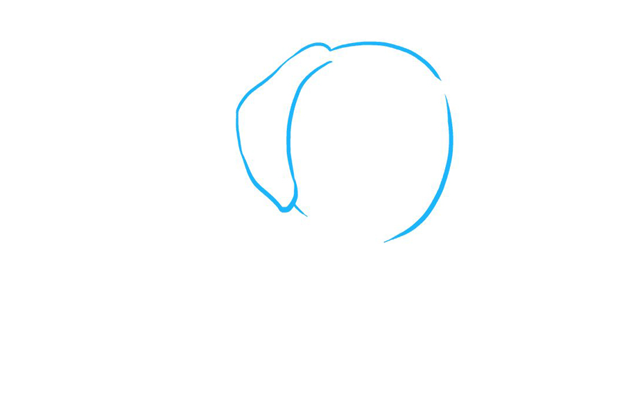 可爱的小狗宝宝怎么画-图1