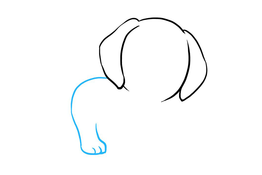 可爱的小狗宝宝怎么画-图3