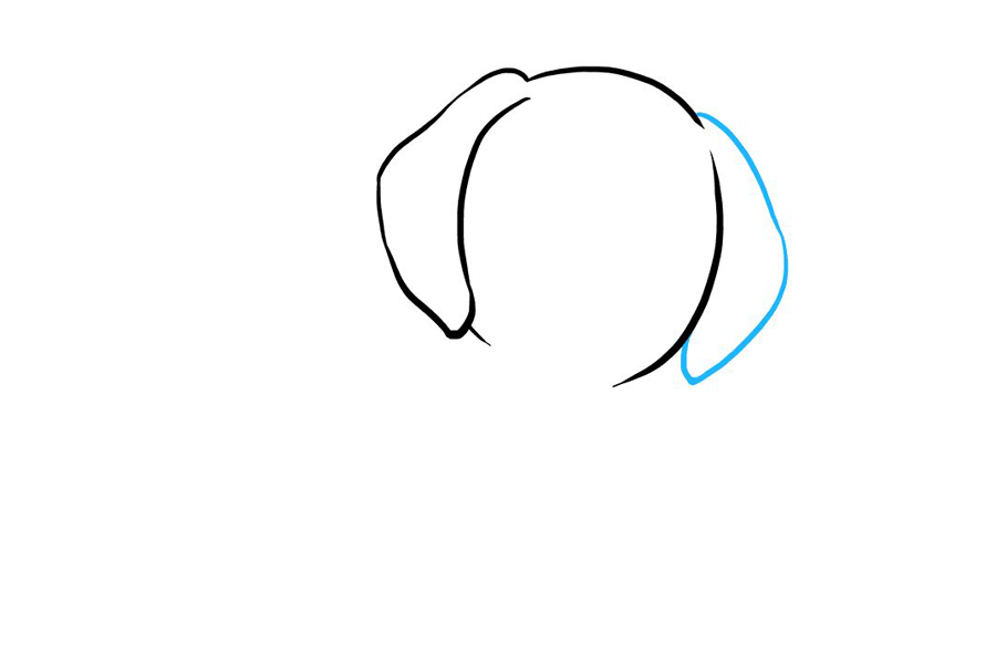 可爱的小狗宝宝怎么画-图2