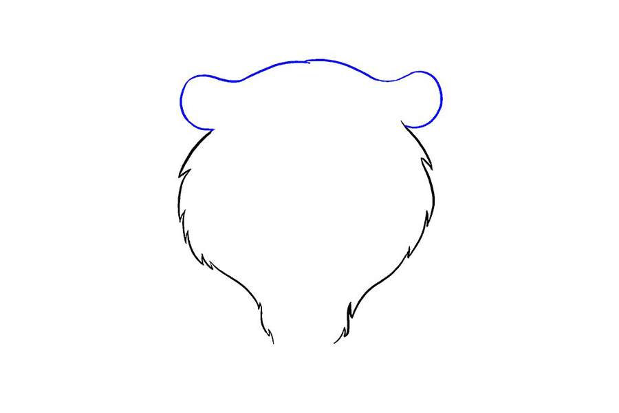 老虎头部详细画法步骤-图5