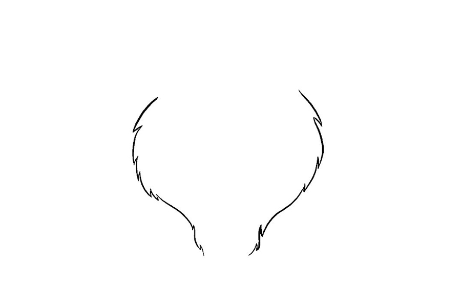 老虎头部详细画法步骤-图4