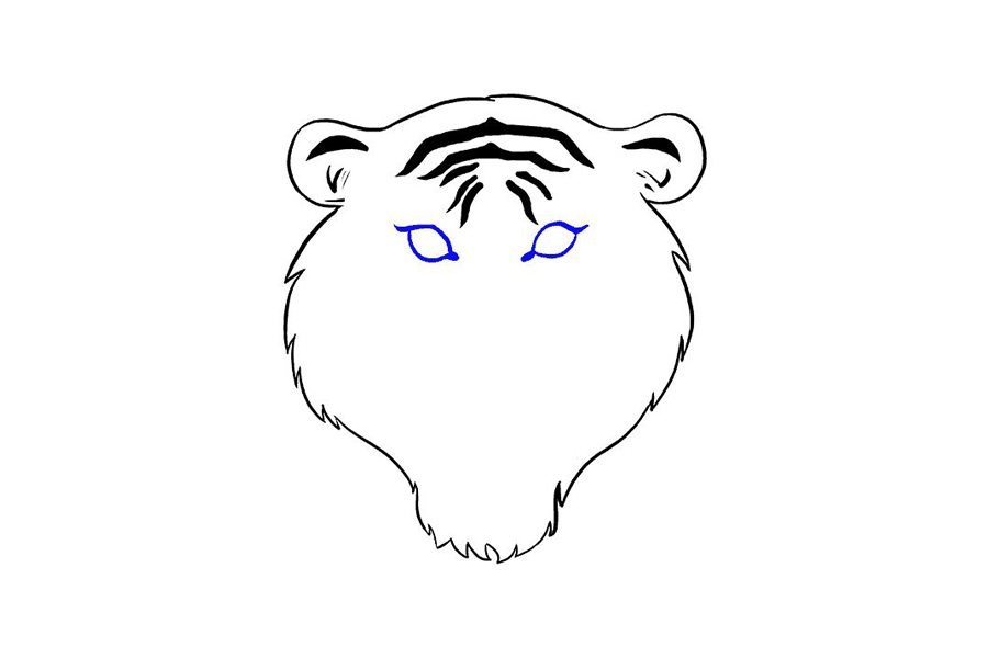 老虎头部详细画法步骤-图8