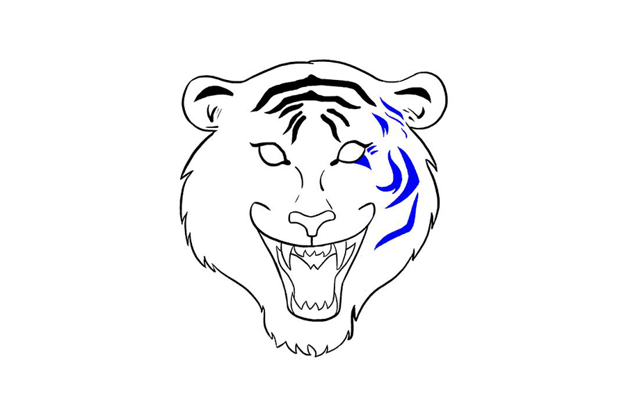 老虎头部详细画法步骤-图14