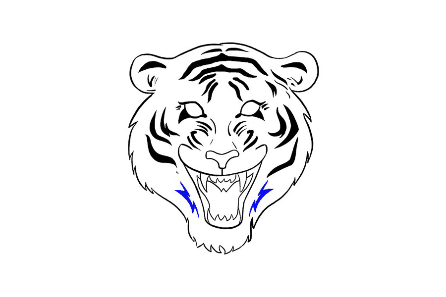 老虎头部详细画法步骤-图17