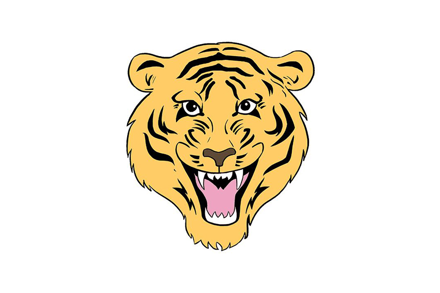 老虎头部详细画法步骤