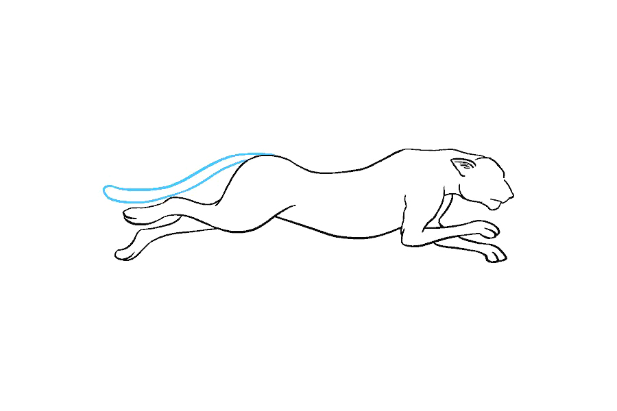 如何画猎豹-图13