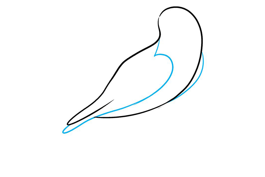 如何画猎鹰-图3