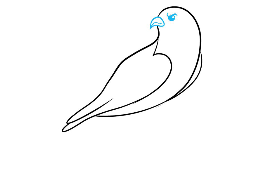 如何画猎鹰-图4