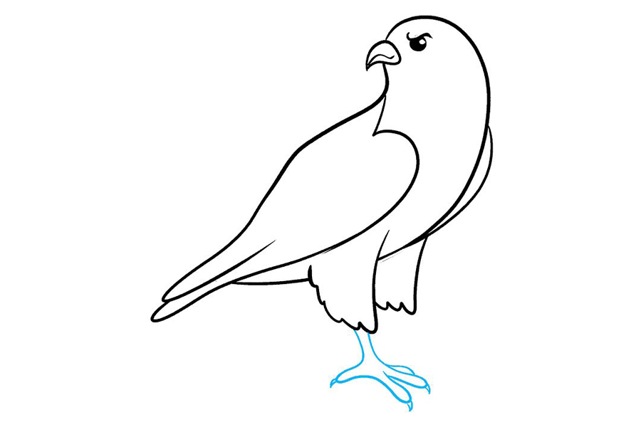 如何画猎鹰-图6