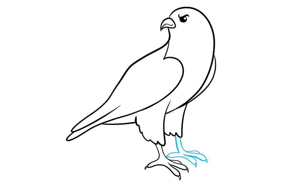 如何画猎鹰-图7