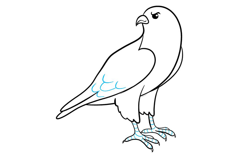 如何画猎鹰-图8