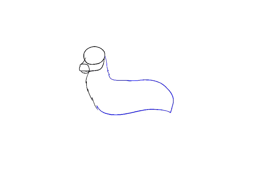 鹿的详细画法步骤-图5