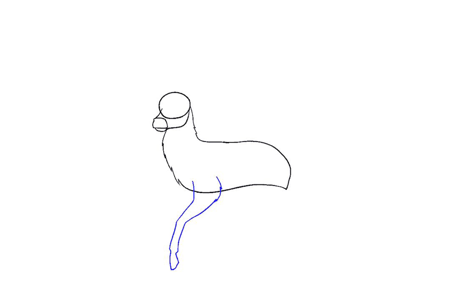 鹿的详细画法步骤-图6