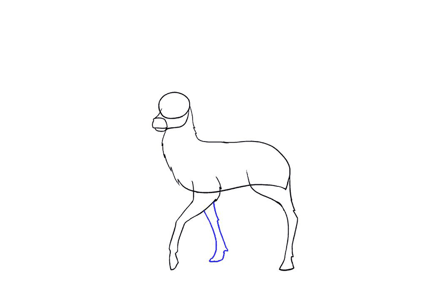 鹿的详细画法步骤-图8