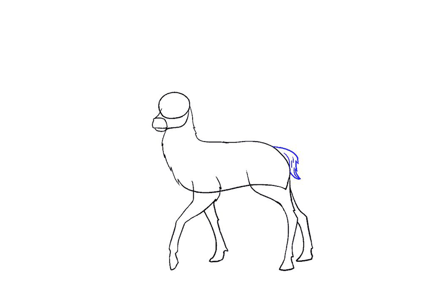 鹿的详细画法步骤-图10