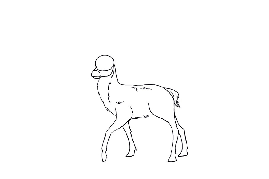 鹿的详细画法步骤-图12