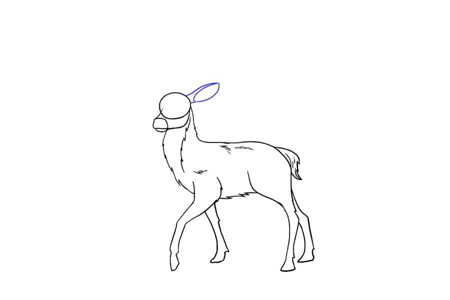 鹿的详细画法步骤-图13