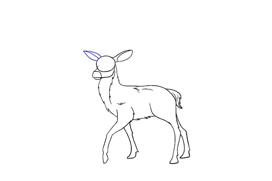 鹿的详细画法步骤-图14