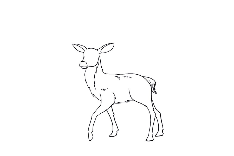鹿的详细画法步骤-图15
