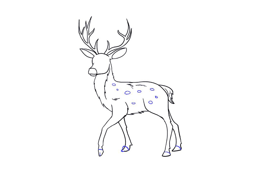 鹿的详细画法步骤-图18