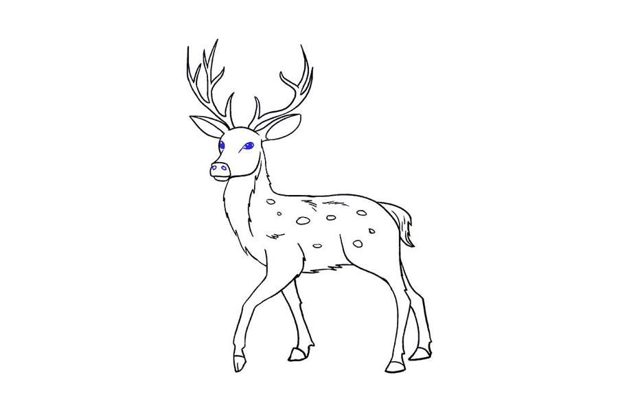 鹿的详细画法步骤-图19