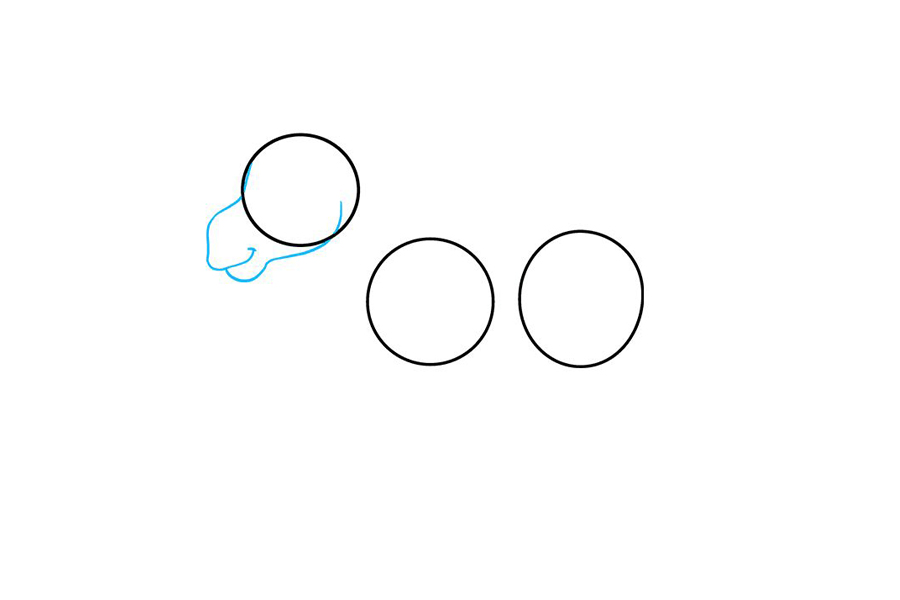 如何画驴子-图3