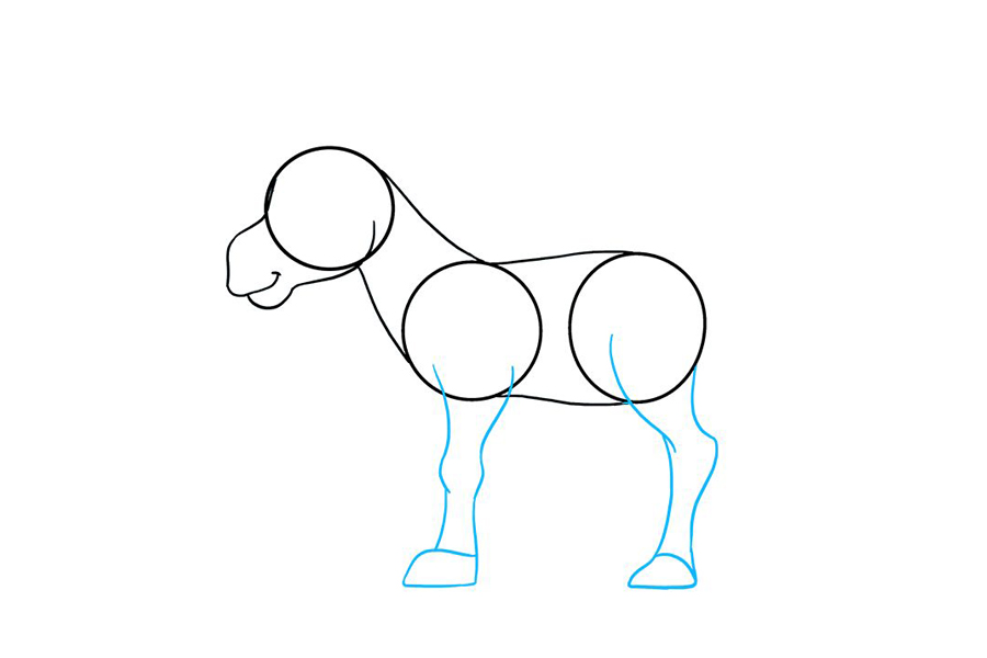 如何画驴子-图5