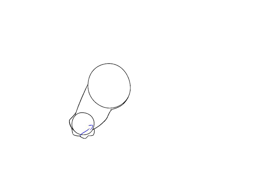 马的头部详细画法步骤-图8