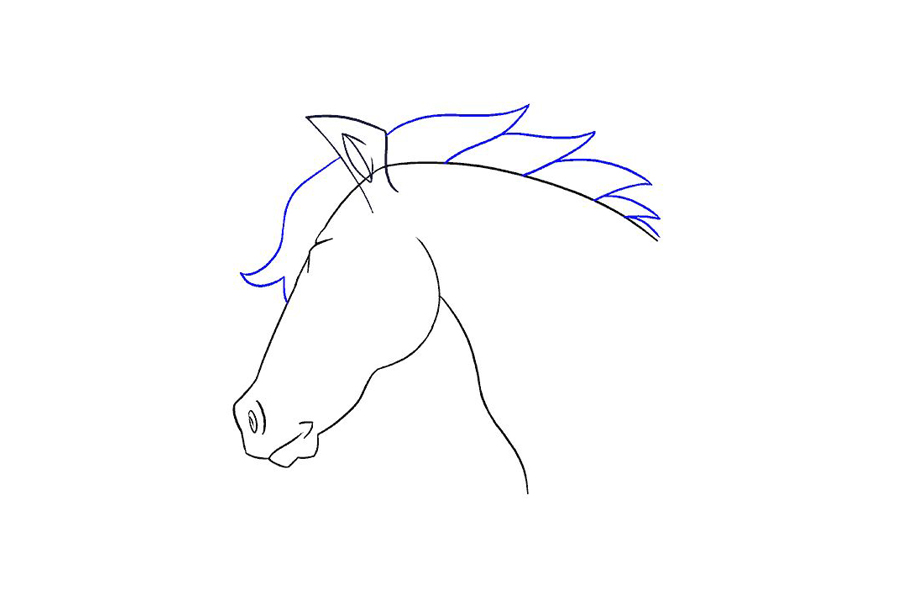 马的头部详细画法步骤-图16