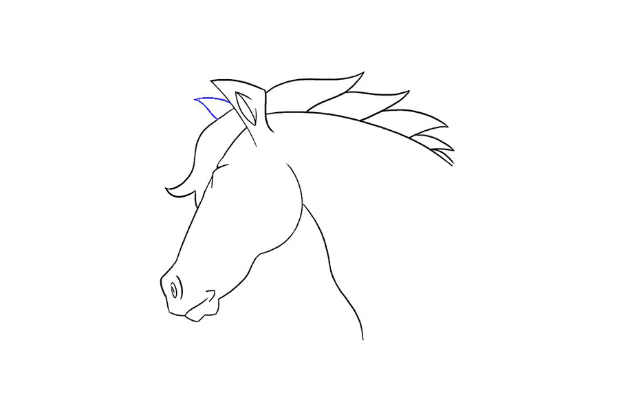 马的头部详细画法步骤-图17