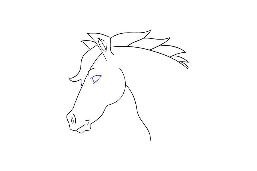 马的头部详细画法步骤-图18
